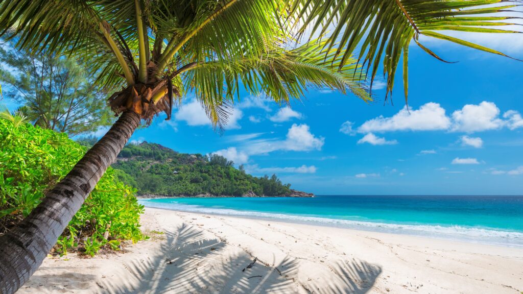 Serene tropical beach in Jamaica